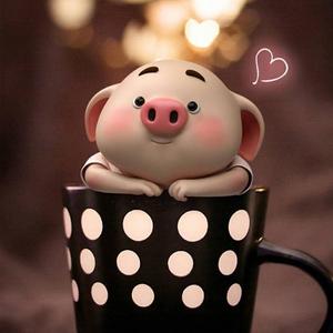 回忆贩卖师-7哥 头像