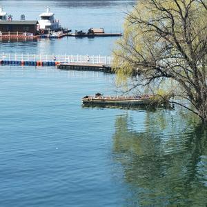 油管热评集结号 头像