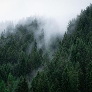 商业点评说 头像