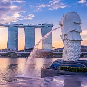 小胖玩转新加坡 头像