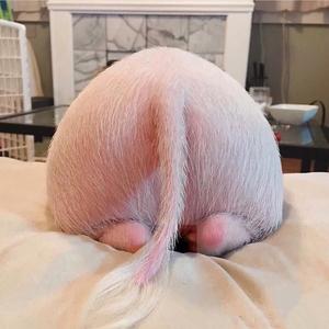 独自走过黑暗森林 头像