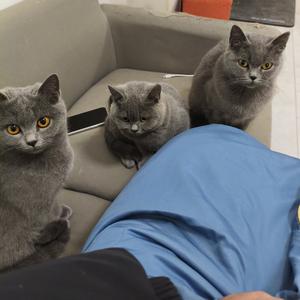 吃货小王子 头像