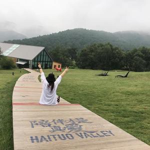 游来游去…… 头像