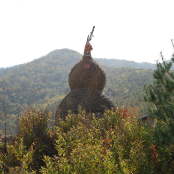 清水居士rd 头像