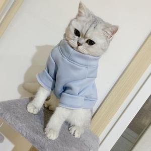 张文尼（距离10w还差6k版） 头像