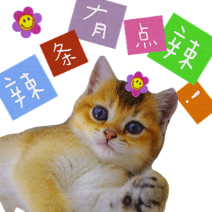 辣条是只猫