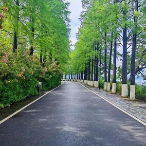 在生活中生活 头像