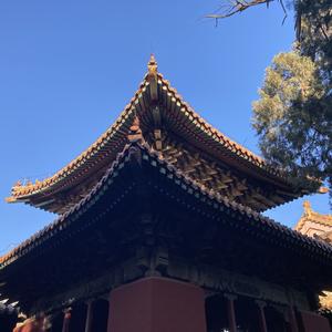 梦济宁 头像