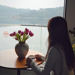 温妮的下午茶 头像