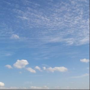 随便看看425 头像