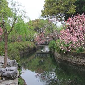 善解人意十八子 头像