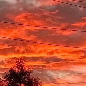 夕阳是孤独的