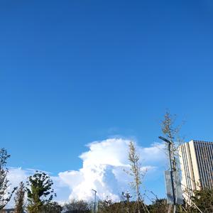 健康科研搬运工 头像