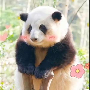 90后大叔尐子曦 头像