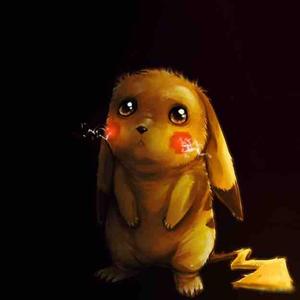 菊花泡的茶 头像