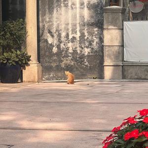 逗你玩玩 头像
