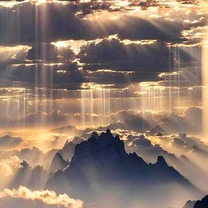 草丛寻野兔的猎人 头像