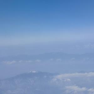 大象观察员 头像