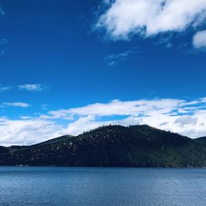 智者叶子Uh 头像