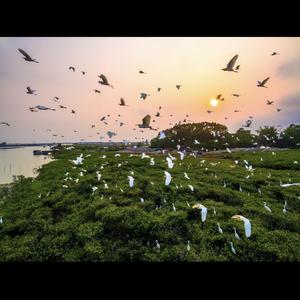 一个班主任 头像