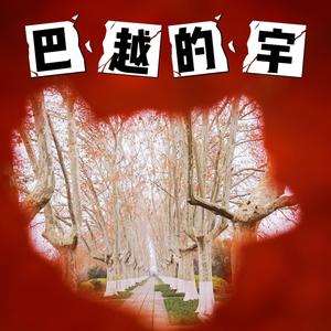巴越的宇 头像