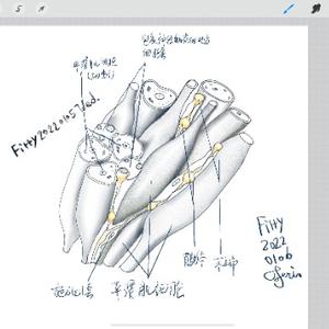 SciPsyLearning头像