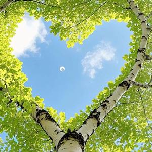 聂锋人体4S店官方号 头像