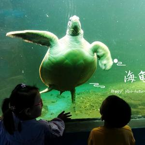 赣榆大婷子 头像