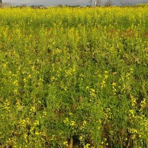海亮小猴猴精彩视频 头像