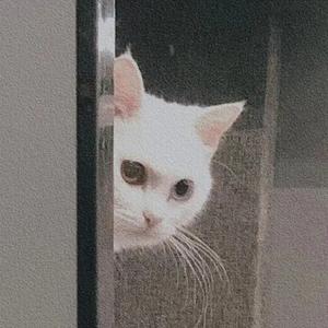 五一前