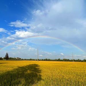 阿小旅行头像