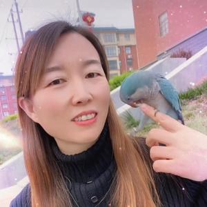 玲家团团 头像