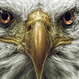 头条问答 中国女排现役三巨头是哪三位 测试你是不是女排 朱袁张 真粉 31个回答