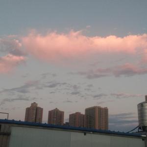 沙漠坚毅跋涉的旅者 头像