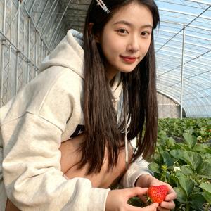 我愿长风渡 头像