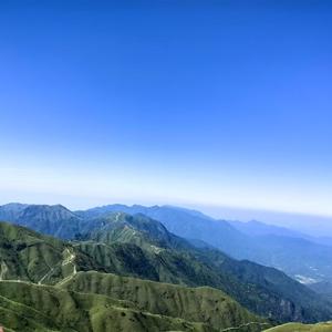 水上漂动的荷瓣 头像