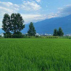 租大全租赁 头像