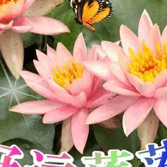 D懒M