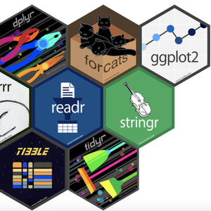 R语言数据分析指南 头像