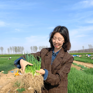 春天的小雨-百亩田 头像
