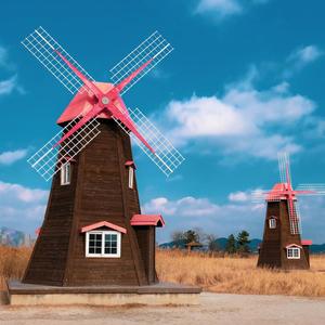 叶子里的光 头像