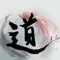 道随易 头像