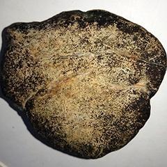 兀文明时代 头像