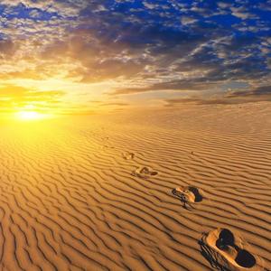 烟火一粒沙 头像