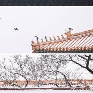 瓜瓜娱乐剪辑 头像