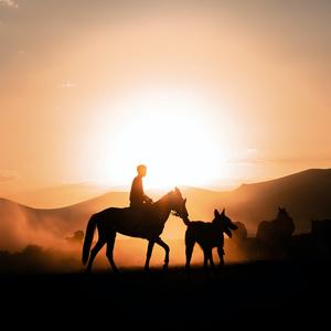 张麻子脸上没麻子 头像