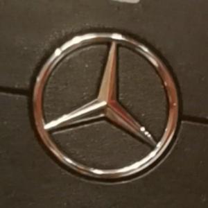 番茄5005642832 头像