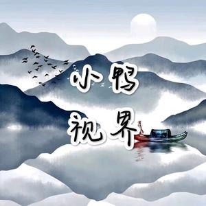 小鸭视界头像