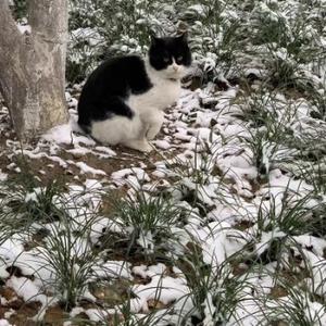 方塘半亩123 头像