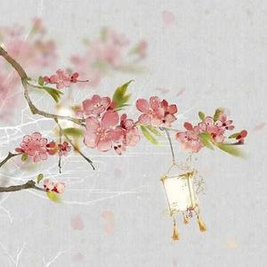 Ooo邪恶的兔子ooO 头像